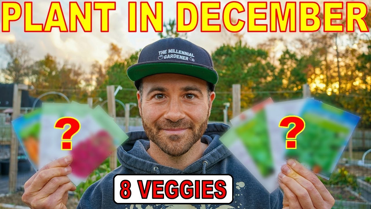 8 Veggies You Can STILL Plant In December For A Perfect Winter Garden YouTube