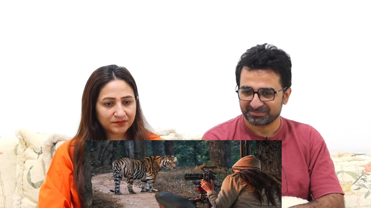 Pak Reacts to Insane India Tiger Safari in Kanha (You Won't Believe What We Saw)