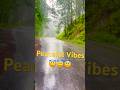 Rain, Greenery &amp; Peace | CD 70 Ride in Gari Habibullah #NatureRide #ScenicRoads