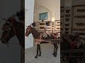 Palermo | Museo Etnografico Siciliano "G.Pitrè"
