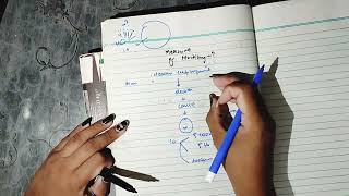Epidemiology part 3, Ratio, rate, proportion, Mortility measurement all import #community_medicine
