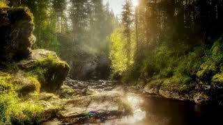 Free no copyright, text, watermarks. Nature, river, morning, sunlight, screensaver screenshot 5