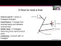 G07 Phylogenomics 2 Reading Phylogenies