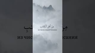 Сура Аль-Баййина | Коран | Абу Хатим