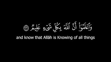 كروما قرآن كريم - الشيخ: ياسر الدوسري- سورة البقرة ( الآيات 231 - 233 ) #كرومات_قرآن