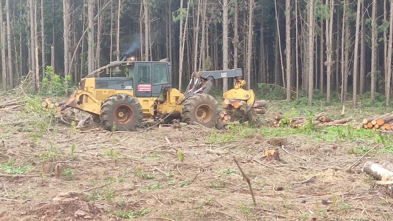 #harvester #jondeere #skider #cat #viralvideo #viral #viralshorts #forest #video #viralvideos 