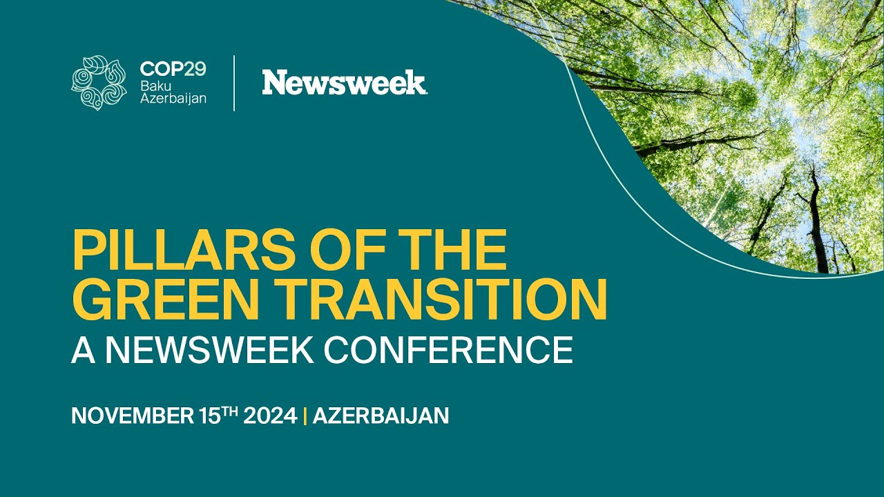 Pillars of the Green Transition at COP29