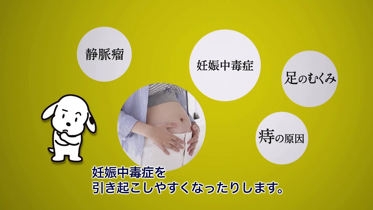 トイザらス 犬印本舗 妊婦帯はどうして必要なの Youtube