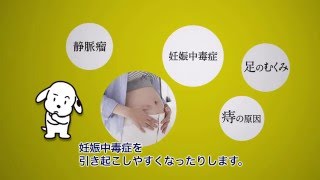 トイザらス - 犬印本舗　「妊婦帯はどうして必要なの？」