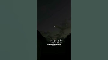 تلاوة هادئة تريح الأعصاب 😴🎧 القارئ: شريف مصطفى _ سورة: العنكبوت 💙❤(إشتراك يا غالى بعد إذنك 😊❤💛)