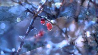 BERNWARD KOCH - A new winter chords