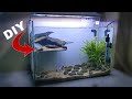 Fish tank setup  aquarium decoration at home