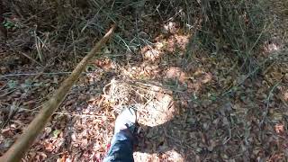 Angaitza ll, monolito. Beorburu, Juslapeña/Txulapain.Navarra,España