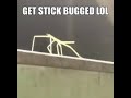 the ultimate reverse stick bug