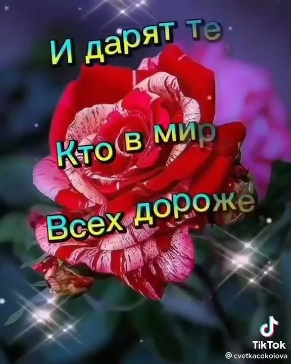 доброе утро - YouTube