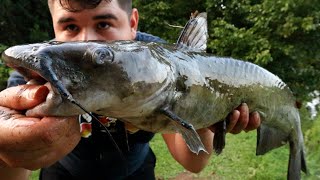 These FISH Were SHALLOW! (3ft of Water)