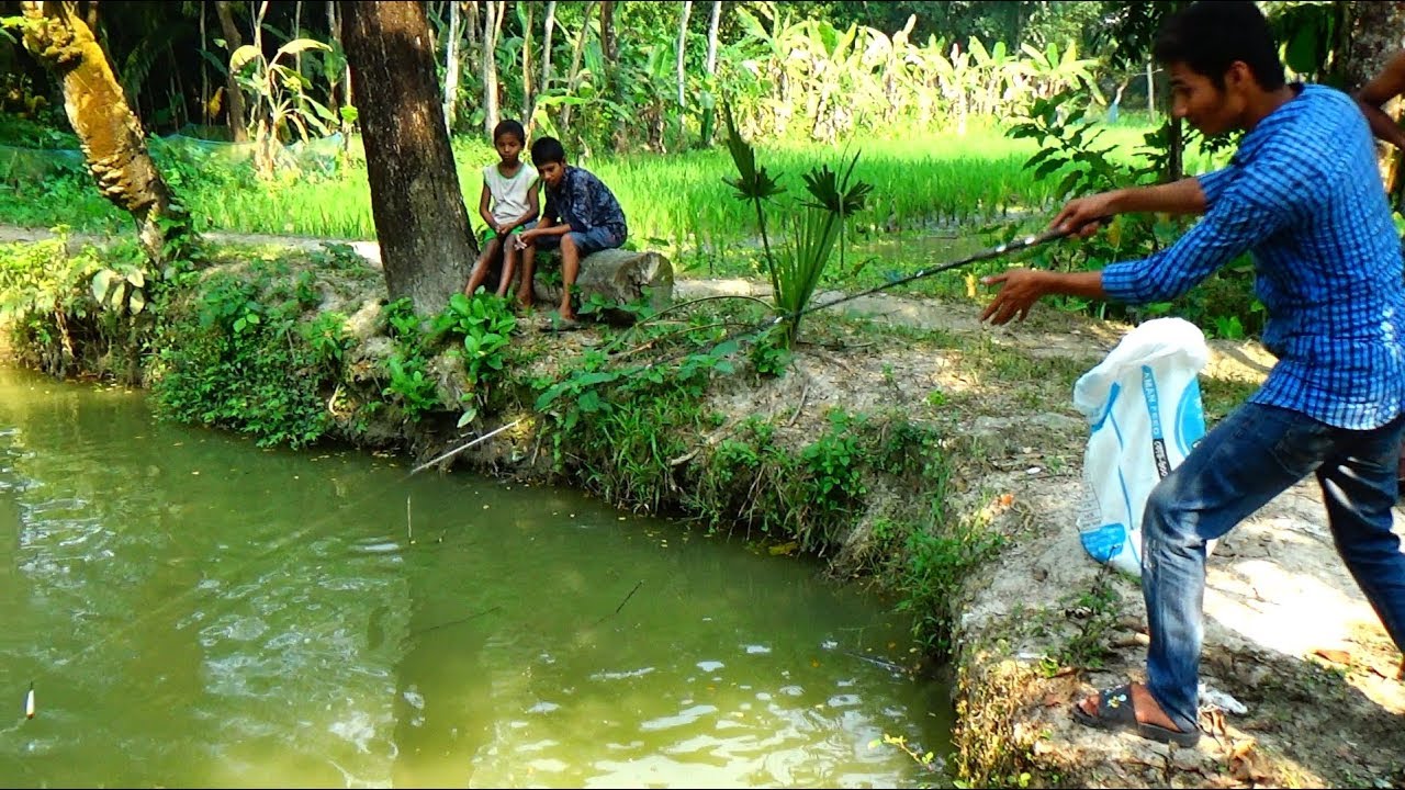 Best Live Fishing Video (Part-137)