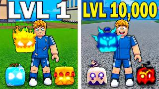 NOOB to MAX in Blox Fruits on Roblox