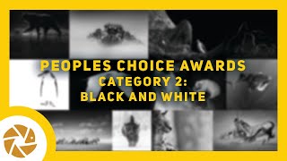 Vision 2020 Photo Competition Peoples Choice Vote. Category Two: Black and White wildlife images.