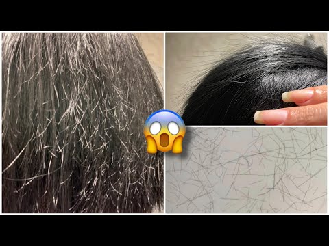 Vídeo: Como evitar que o cabelo se quebre: 12 etapas (com fotos)