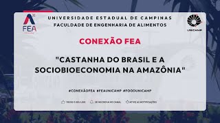 CONEXÃO FEA: Castanha do Brasil e a Sociobioeconomia na Amazônia