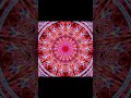 旋律の花 2026 Q1 #万華鏡風 #デジタルアート #art