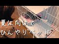 【猫のヒメ】猫の暑さ対策【ひんやりベッド購入品】アメリカンショートヘアー