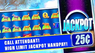 SPEED SPINS BIG BETS! ★ PRIDE & PREY SLOT MACHINE ➜ JACKPOT HANDPAYS! screenshot 2