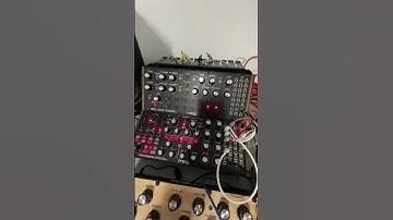 Synth jam using the Moog DFAM and Sub Harmonicon. Drums are from the Behringer RD9. #semimodular