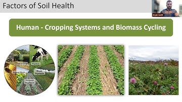2022 NYSH Summit What have learned & done? Cornell Soil Health Team Presentations
