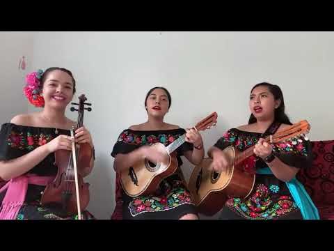 LA PASIÓN de Nicandro Castillo Trío Xochipitzáhuatl (Premio Nacional de la Juventud)