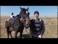 конная прогулка на лошадях карачаевской породы