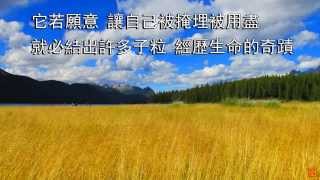 一粒麥子 | 小羊詩歌《一粒麥子》專輯 chords