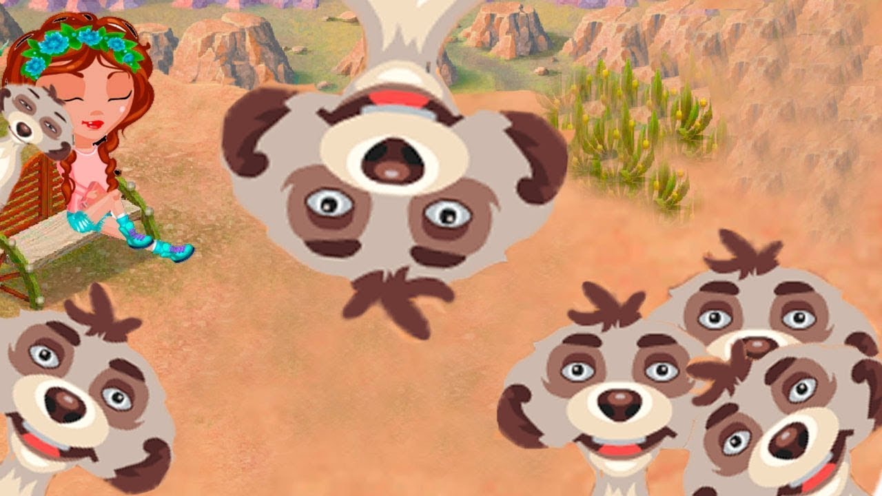 животное из аватарии в каньоне. маска суриката. как снять шарик в аватарии с голодных сурикатов. сурикаты аватарии. голодный сурикат аватария.