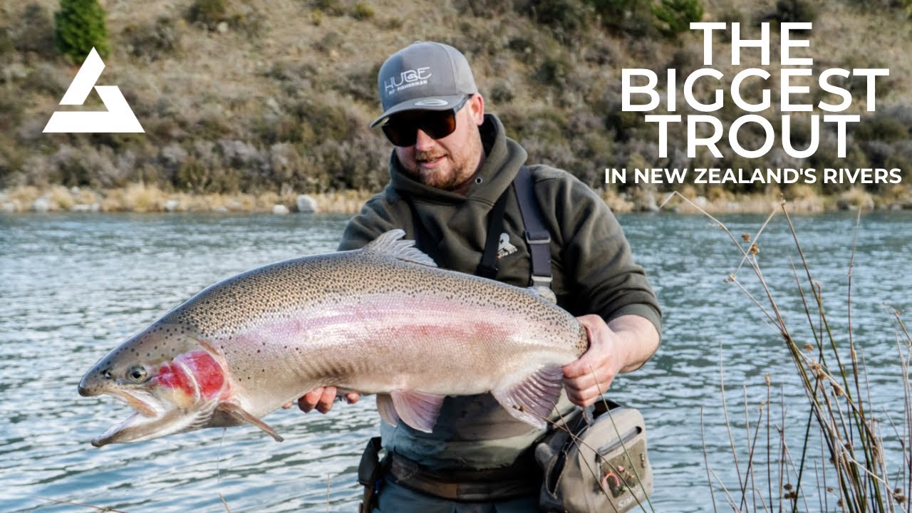 These are the Biggest Trout in New Zealand's Rivers! 20lb+ Fish on