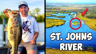 St. Johns River Fishing Report (Where Are The Bass?)