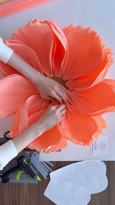 Tutorial Membuat Bunga Peony Raksasa dari Kertas