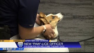 Folsom Police Department adds therapy dog