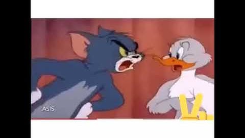 Tom and Jerry afsomali qosol 😂😂