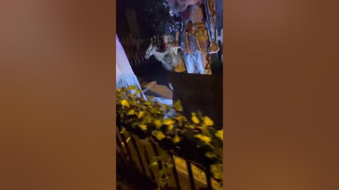 Halloween at Windsor terrace 2022 YouTube