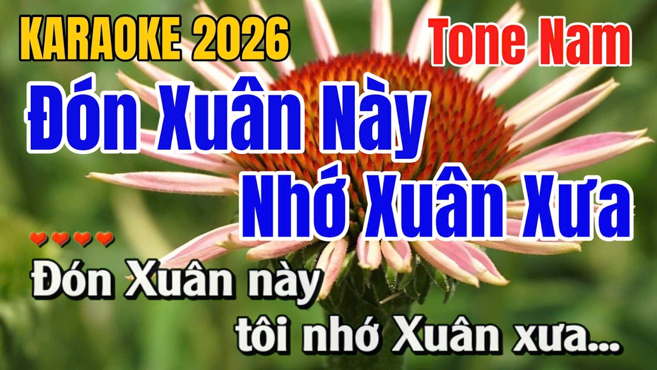 Đón Xuân Này Nhớ Xuân Xưa ➤ Karaoke Tone Nữ ➤ Gia Anh Beat