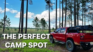 Exploring the best part of OCALA NATIONAL FOREST