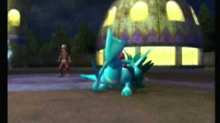 Pokemon Battle Revolution #283 New-found luck for new oniongravy64 PBR batch?