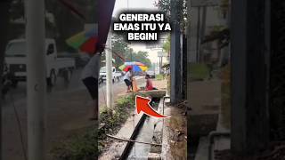 Golden Generation Seedsshorts