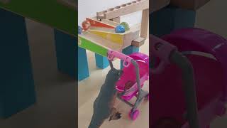 Marble Run Race ASMR HABA wave slope part62 #marblerun #マーブルラン #shorts