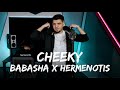 Babasha x hermenotis  cheeky  versuri