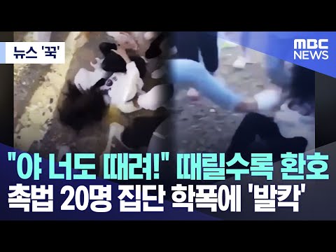 뉴스 꾹 야 너도 때려 때릴수록 환호 촉법 20명 집단 학폭에 발칵 2023 10 31 MBC뉴스 