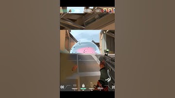 They called me NOOB so I replied with ACE #valorant #shorts