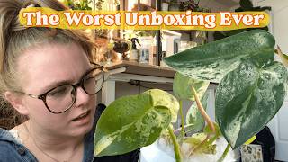 I Bought My $250 Wishlist Plant… FAIL 😭 Tips & What To Do If This Happens To You 😰