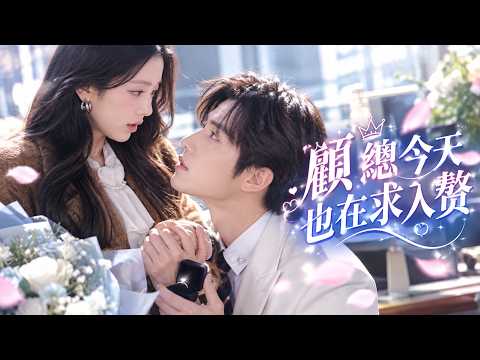 十年前她因誤會心死離開，十年後他卻成了非她不娶的霸總！為追回初戀，他硬扛豪門、擊退情敵，最後甘願入贅，只求她回頭！